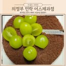 어스제과점 | 의정부 민락동 케이크 전문점 디저트 맛집 부드러운 빵과 생크림이 가득한 어스제과