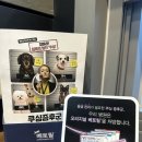 티어하임 동물병원 이미지