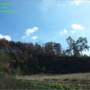 길직2리 마을회관 이미지