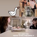 바벨피트니스 FC(피트니스 컨설턴트) 공개채용 이미지