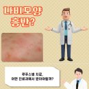 성모류마내과의원 | 서울 강동 류마티스내과 류마내과의원 자가면역질환과 관절 통증의 이해