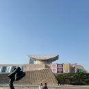 도로시의숲 | 놀이터로! 대전시립미술관 열린수장고 완벽 관람 후기 (ft. 도로시의 원더링 & 프랙탈 거북선 관람 꿀팁)