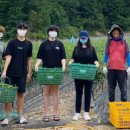 행복어린이도서관 네이버블로그