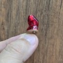 스타키보청기 춘천난청센터 이미지