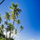 남태평양 이미지