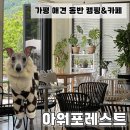 아워포레스트카페 | 가평 애견 동반 캠핑&카페｜‘아워포레스트’ 영업시간, 주차정보, 애견 수영장 이용료