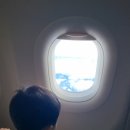 비자림스마일 | 14개월 아기랑 제주 6주 살기 (곰막횟집,비자림스마일)