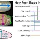 성인 토슈즈 이미지