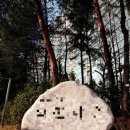 스피드광고기획