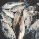 달빛좌대 이미지