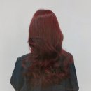 허니살롱 - 칠곡군 | 허니살롱