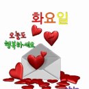 7월 9일 화요일 쥐방 출부~🍀 이미지