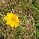 개포이레공인중개사사무소 이미지