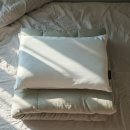 화이트 하우스 | 모노하우스 호텔느낌 나는 화이트 모달 베개커버 후기