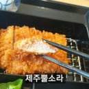 제주노조미