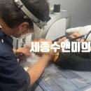 수앤미의원