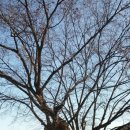 파주2리 이미지