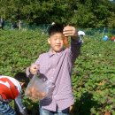 해미초등학교 이미지