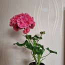 빛으로부터..(fr 이미지