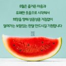 행복한하루 이미지
