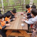 원천초병설유치원 이미지