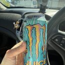 제니스동물병원 | Goodbye 2025, Welcome 2026