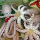 서산갯마을낙지 이미지