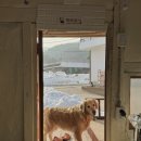 스테이어단 이미지