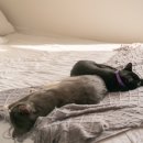 호텔앤스파 이미지