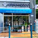 내안에너있DOG 이미지