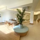 다솜고양이메디컬센터 이미지