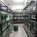 워터월드코리아 이미지