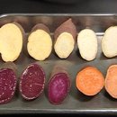 헬스맨&헬스걸 이미지