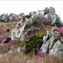 [4월9일] 전남 강진 주작산 산행 이미지