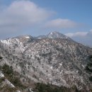 한신팬션