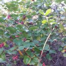 제일건재 이미지