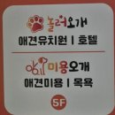 놀러오개 애견 유치원 애견 호텔 | 놀러오개 애견 유치원 ,애견호텔 ♡놀러오개 영등포점 ♡