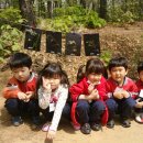 예쁜삼성어린이집 이미지