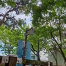 꿈돌이어린이공원 이미지