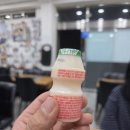 달서천로 | 서구 비산동]전현무도 반한 대구 서구 복어맛집, 신원복어 복불고기 + 복지리 + 볶음밥 제대로 먹어본 후기