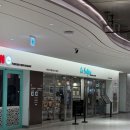 르사이공 코엑스몰점 티스토리
