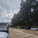 봉주르 | [내돈내산] 팔당 봉주르 테라스카페, 대형카페 추천 솔직후기 사진 많음주의