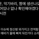 언더더씨 이미지