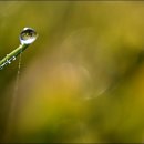 GS25 대공원점 이미지