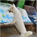 송현태양광 이미지