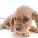 하루하루 이미지