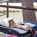 솔샘손칼국수 | 7월 마자 막 주 + 8월 첫째 주 일상