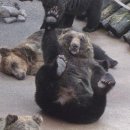 또 놀러와 이미지