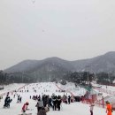 맘스스키 이미지