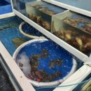 153해물 전문점 이미지